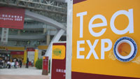 Language and interpretation services